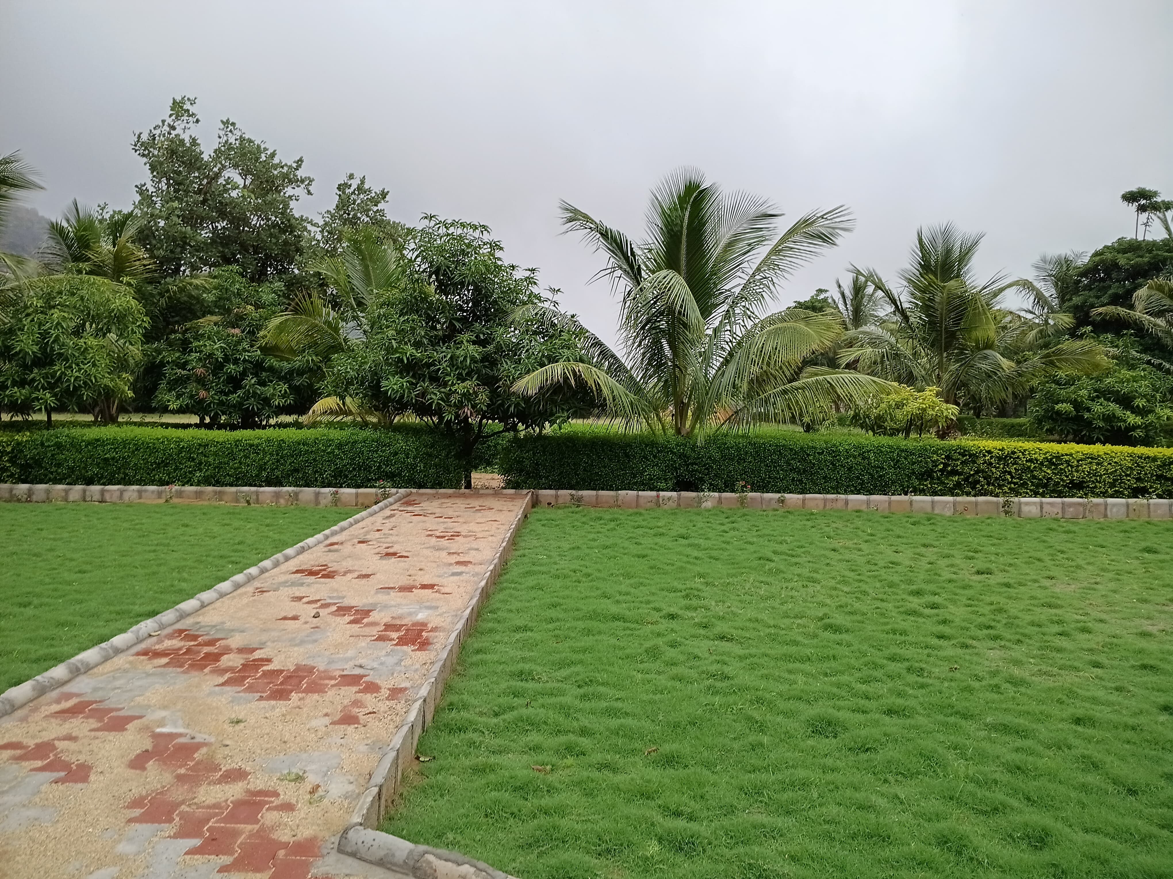 Landscaped Garden & Open Lawn view 4