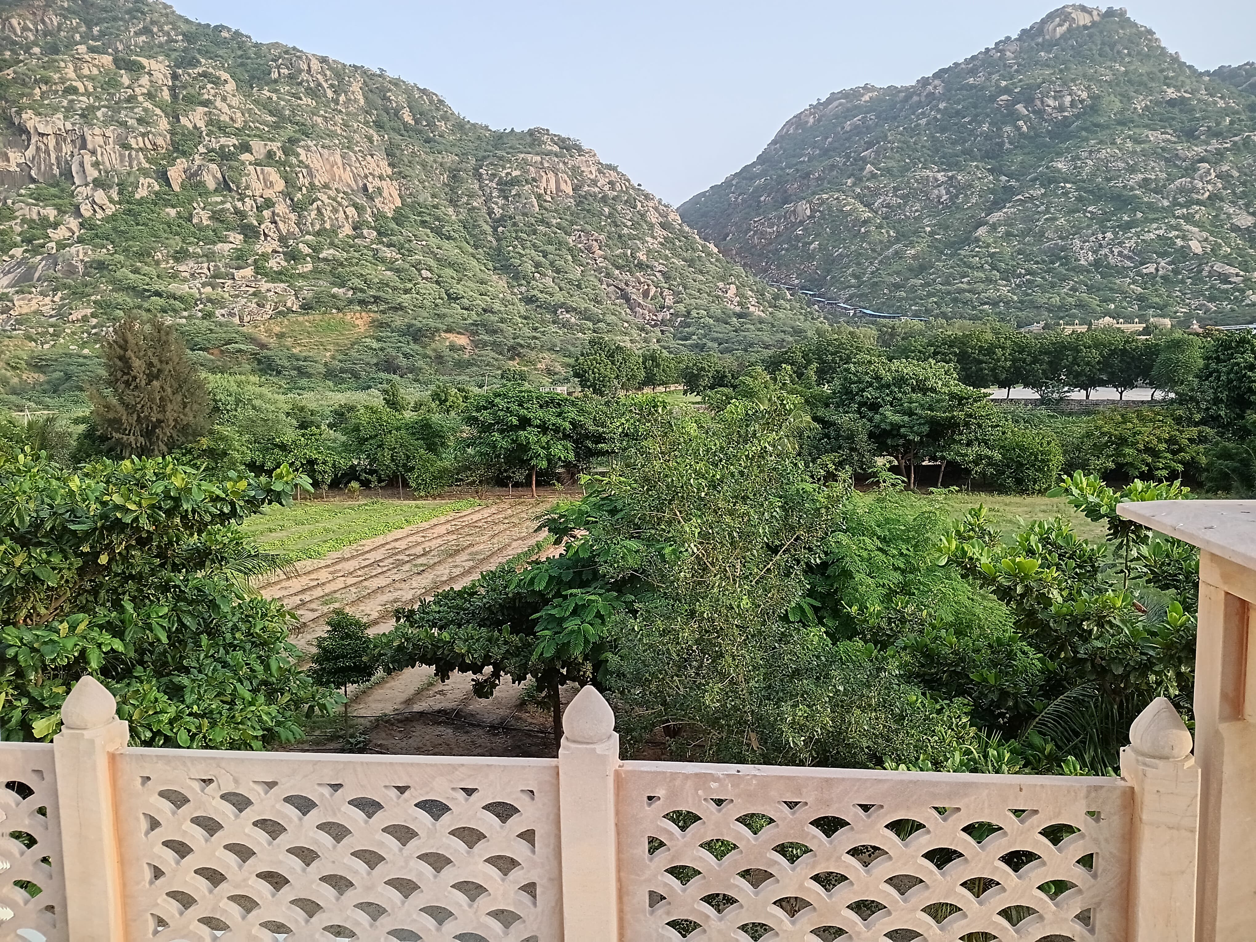 Landscaped Garden & Open Lawn view 2